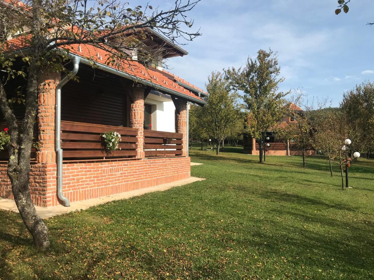 Seosko Domacinstvo Bondzulic Apartment Uzice Bagian luar foto
